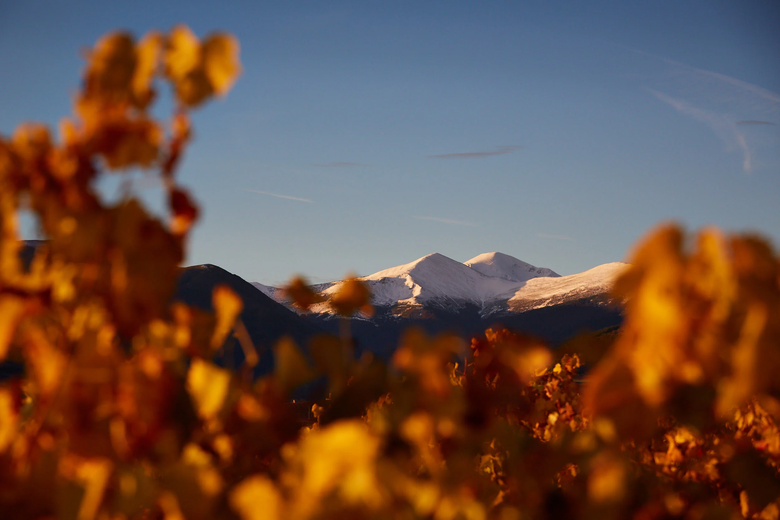 1811Rioja_Wine_Photography_Gomez_Cruzado_0014.jpg