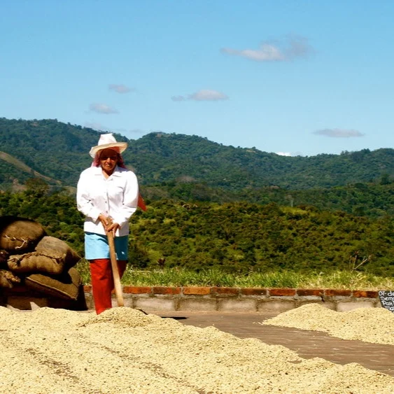 fairtrade-coffee-bags.jpg