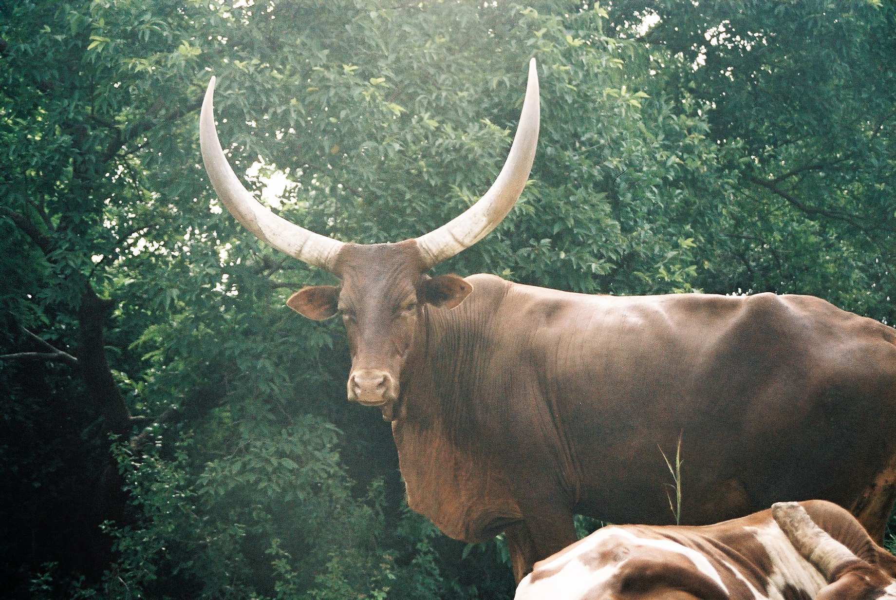 F1100002.jpg