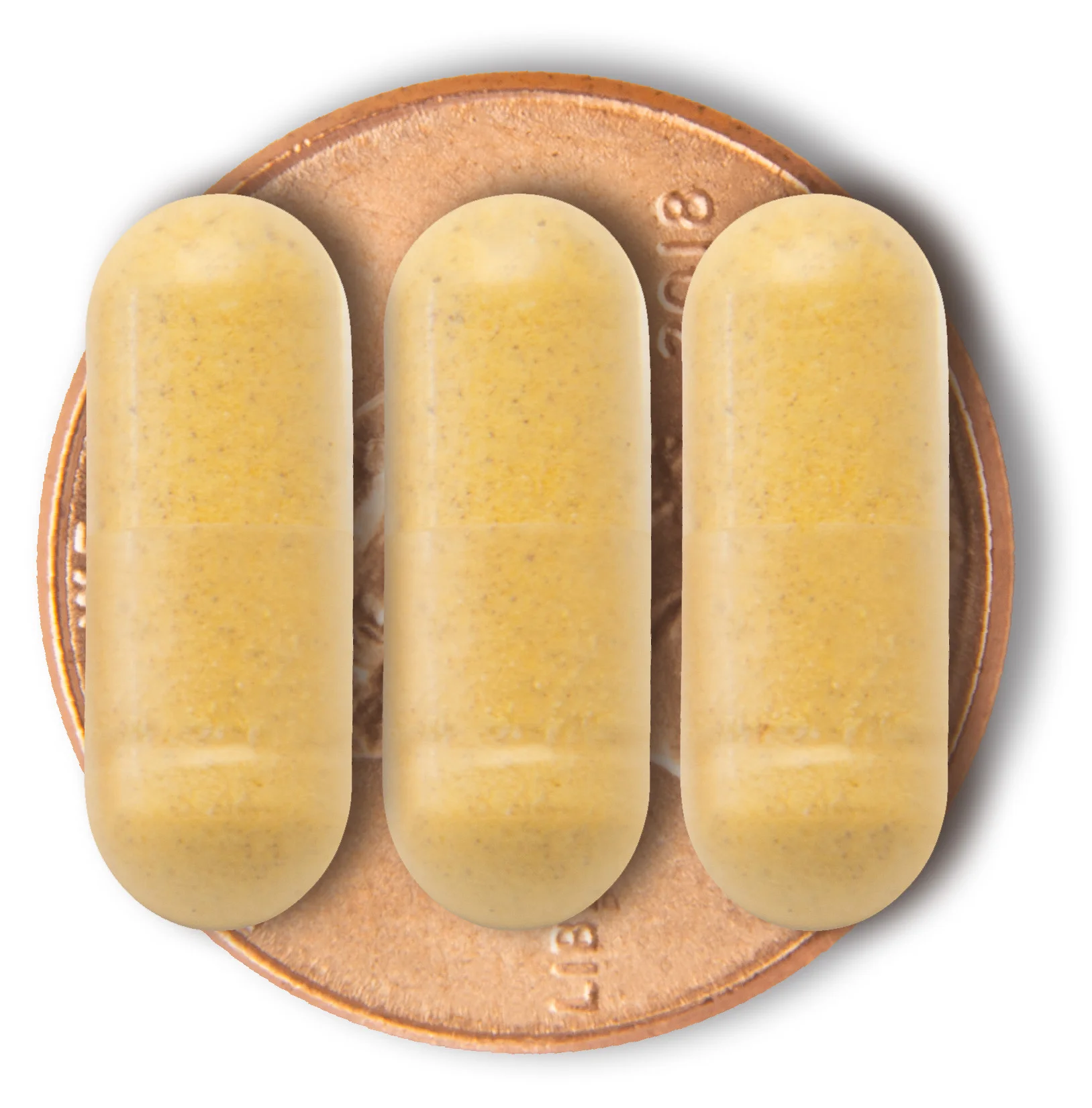 NutritionRoad 2 12_.JPG