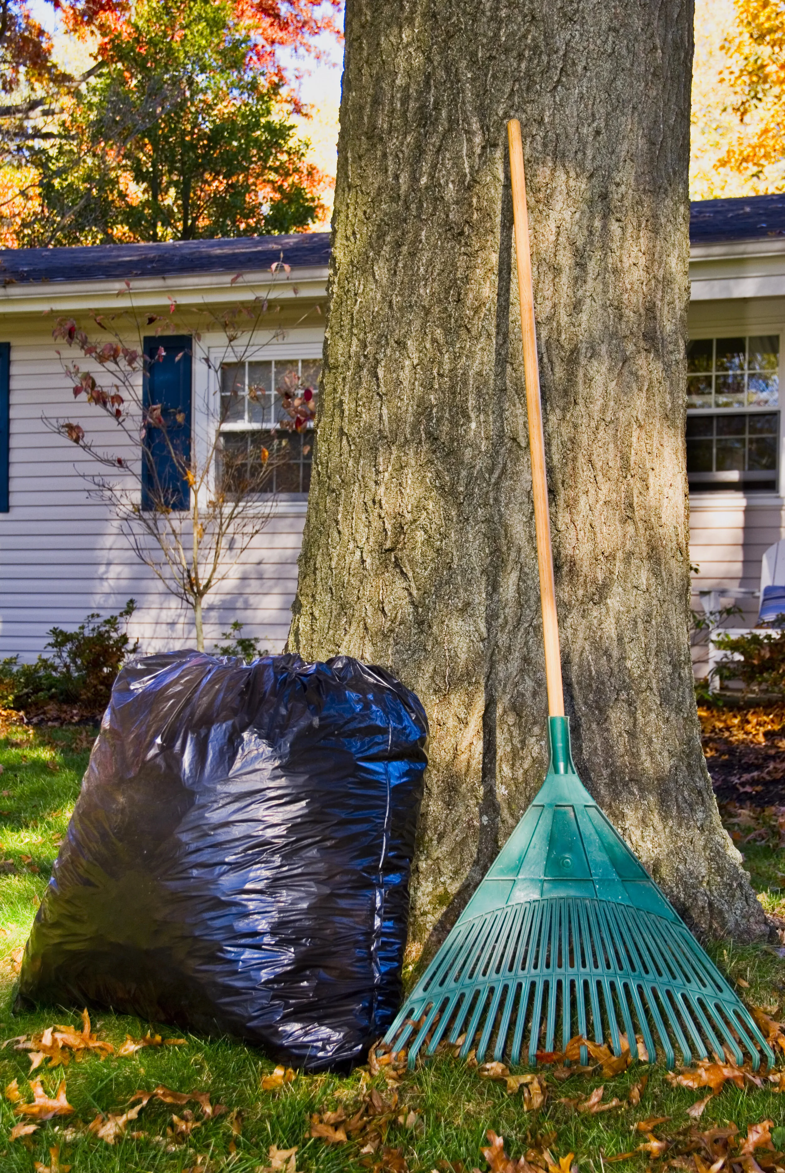 Garbage Can Liners 17_.JPG