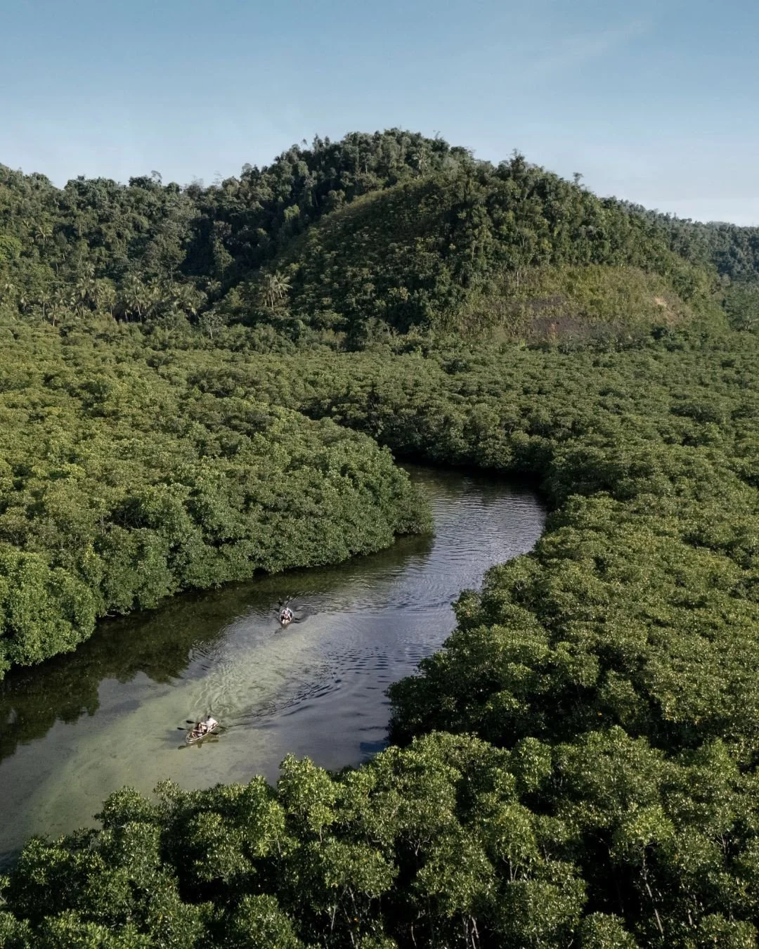 LEARN ABOUT ISLAND CONSERVATION - At Nay Palad Hideaway, learning often begins in the most unexpected places. Guests can kayak and paddle board through century old mangrove forests, guided by local experts, discovering the extraordinary ecosystems th
