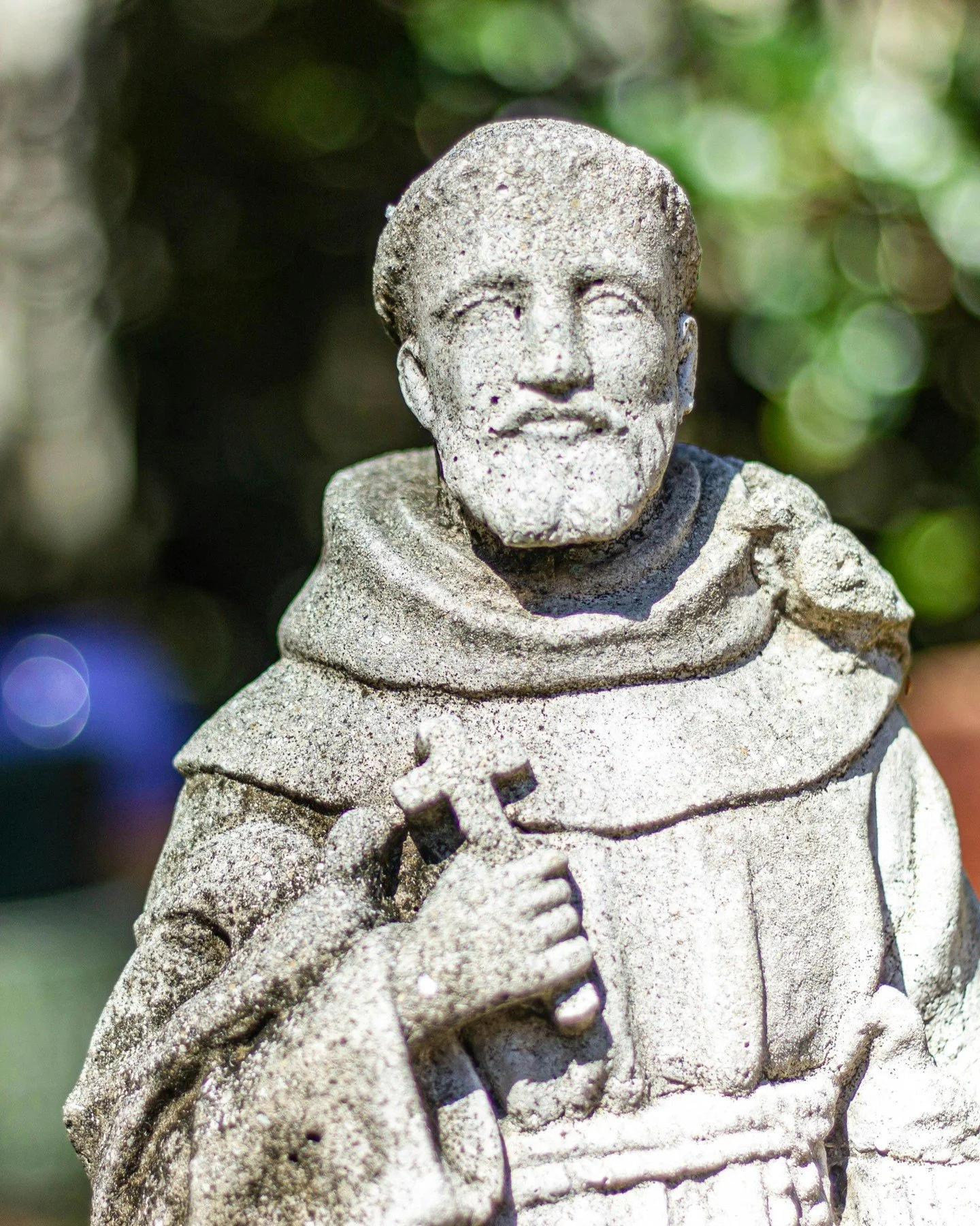 Just off the coast of Cannes lies a place that feels almost untouched by time. For centuries, the monks of &Icirc;le Saint-Honorat have cultivated vineyards and olive groves on this small Mediterranean island, producing wines and olive oils that rema