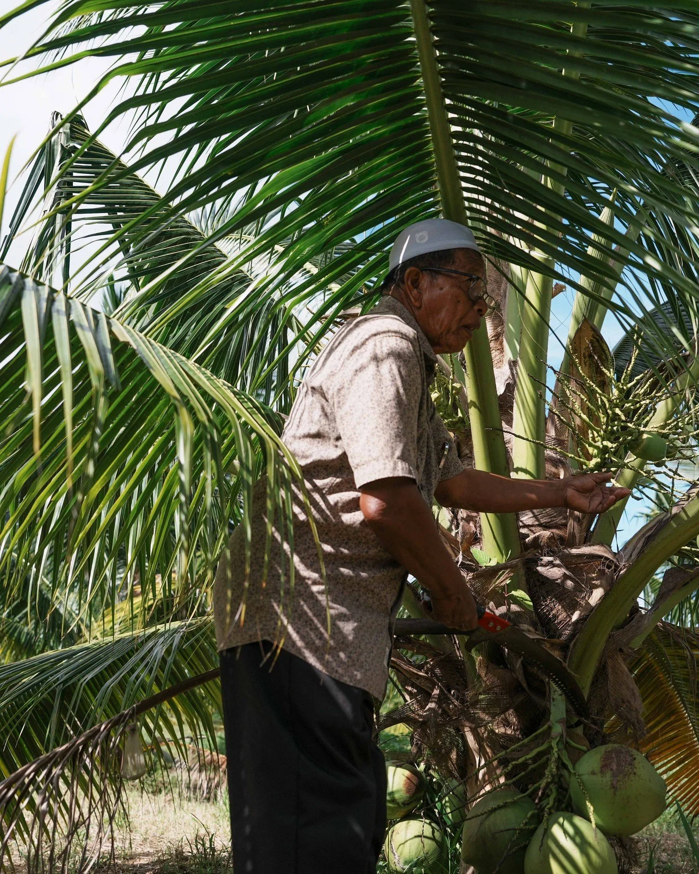 At The Datai Langkawi, some of the ingredients arriving in the kitchen each day come directly from local farmers participating in the resort's community farming initiatives.⁠
For guests, that might mean a beautifully prepared dish served overlooking 