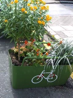 "Varied planting"