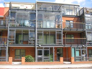 Contemporary front yard