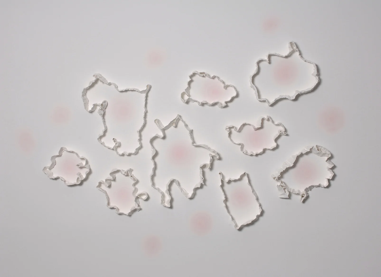 Blush, 2006