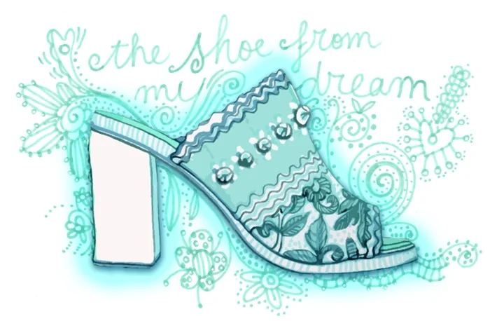 Dream shoes with embroidery work
