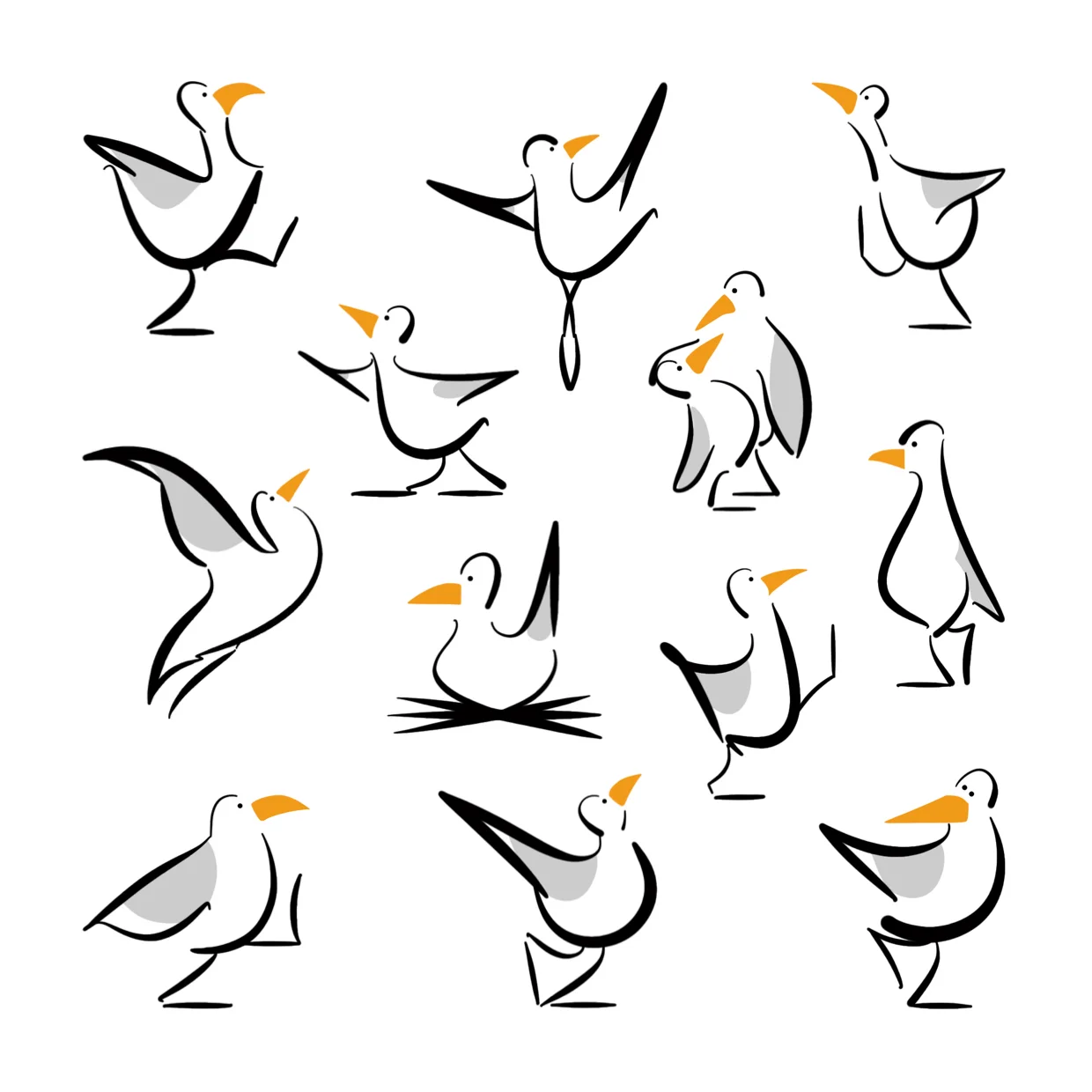 Seagulls Square Format.jpg