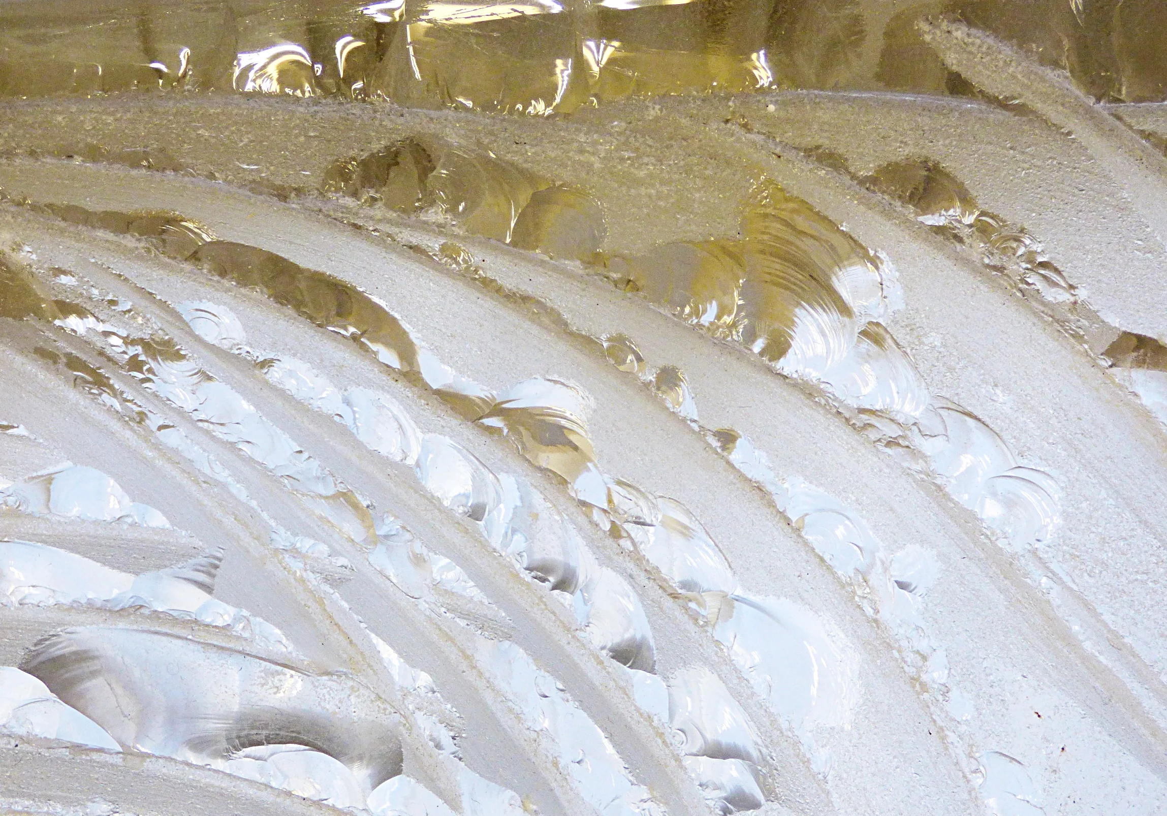 Detail Fish out of Water