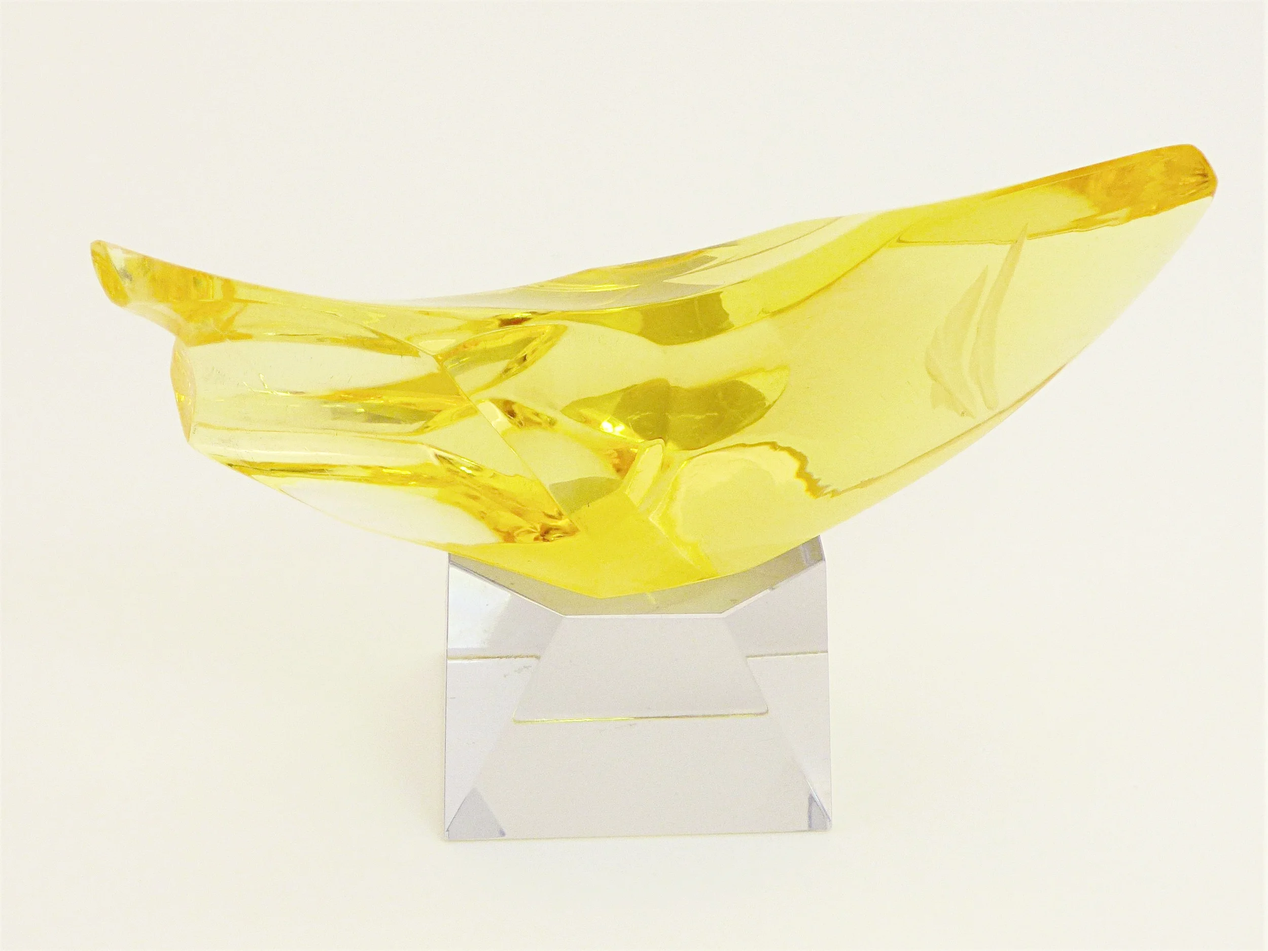 Click for video of fish