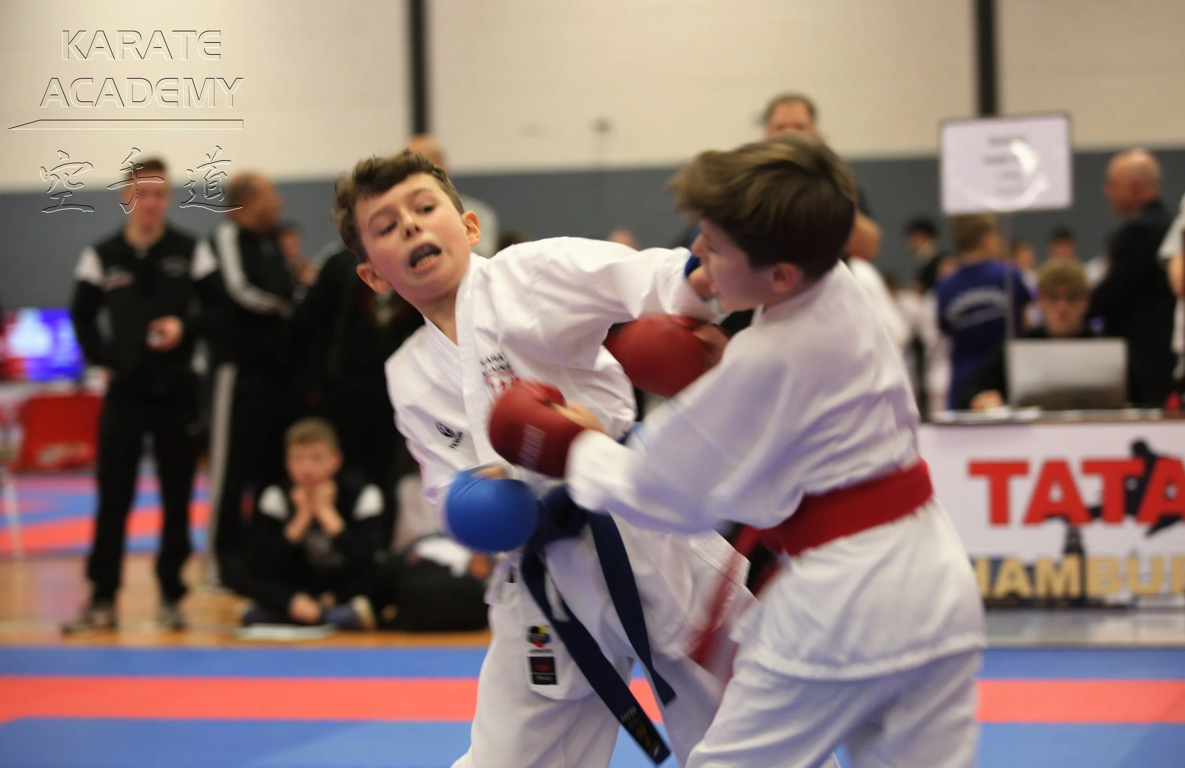 HAMBURG OPEN KARATE 2019 TRAILER