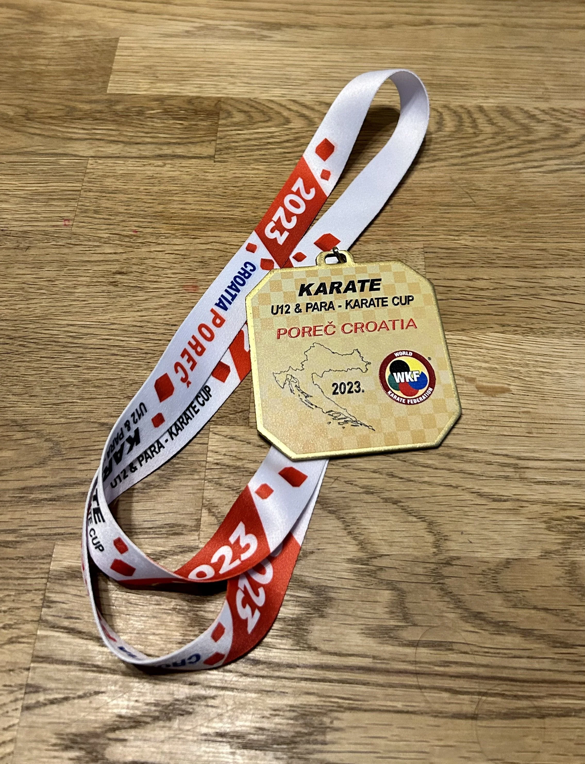 Bijan gewinnt in Porec den WKF Youth Cup U12 