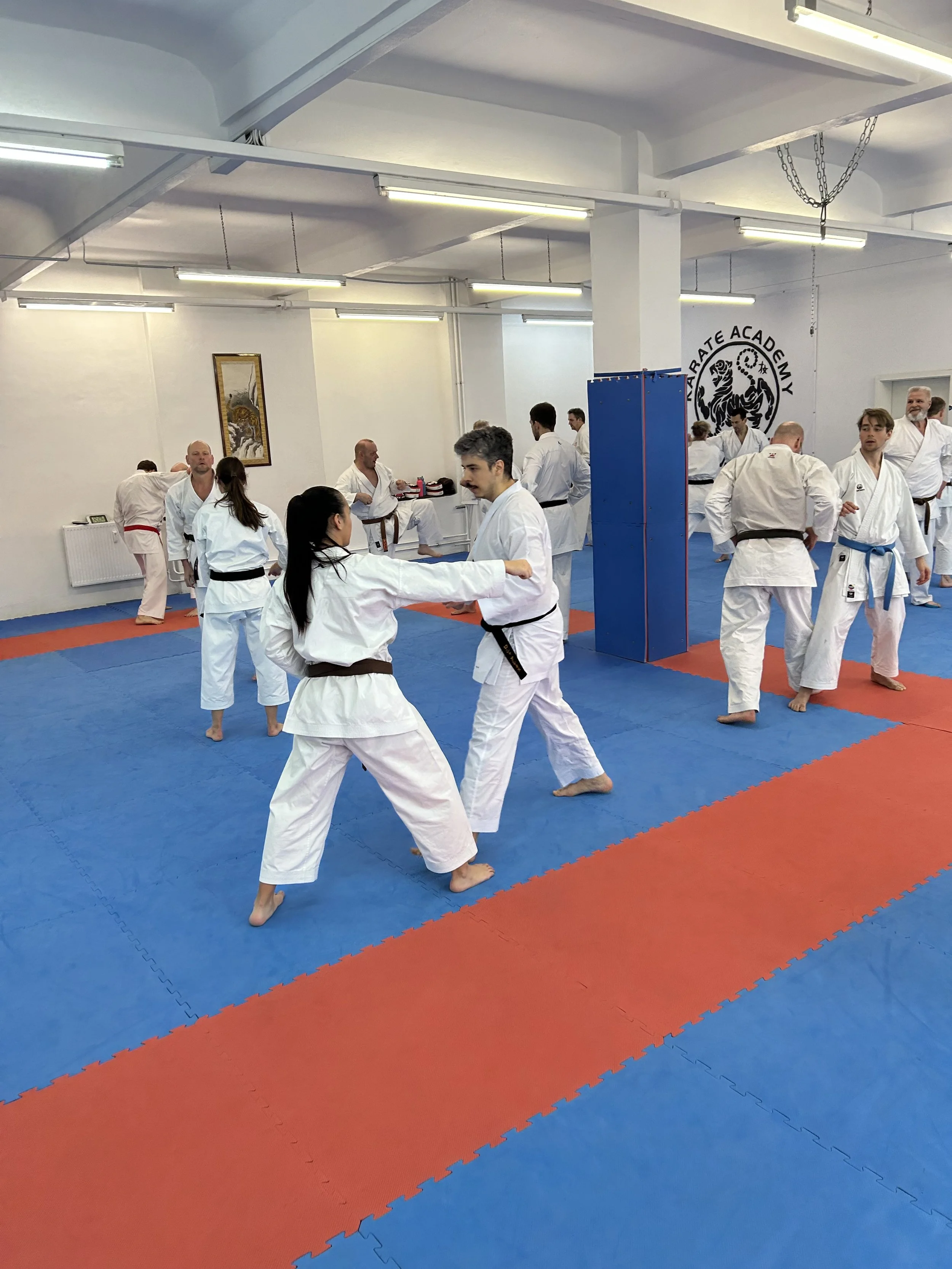 SHOTOKAN LEHRGANG UND DAN-PRÜFUNG IN DER KARATE ACADEMY