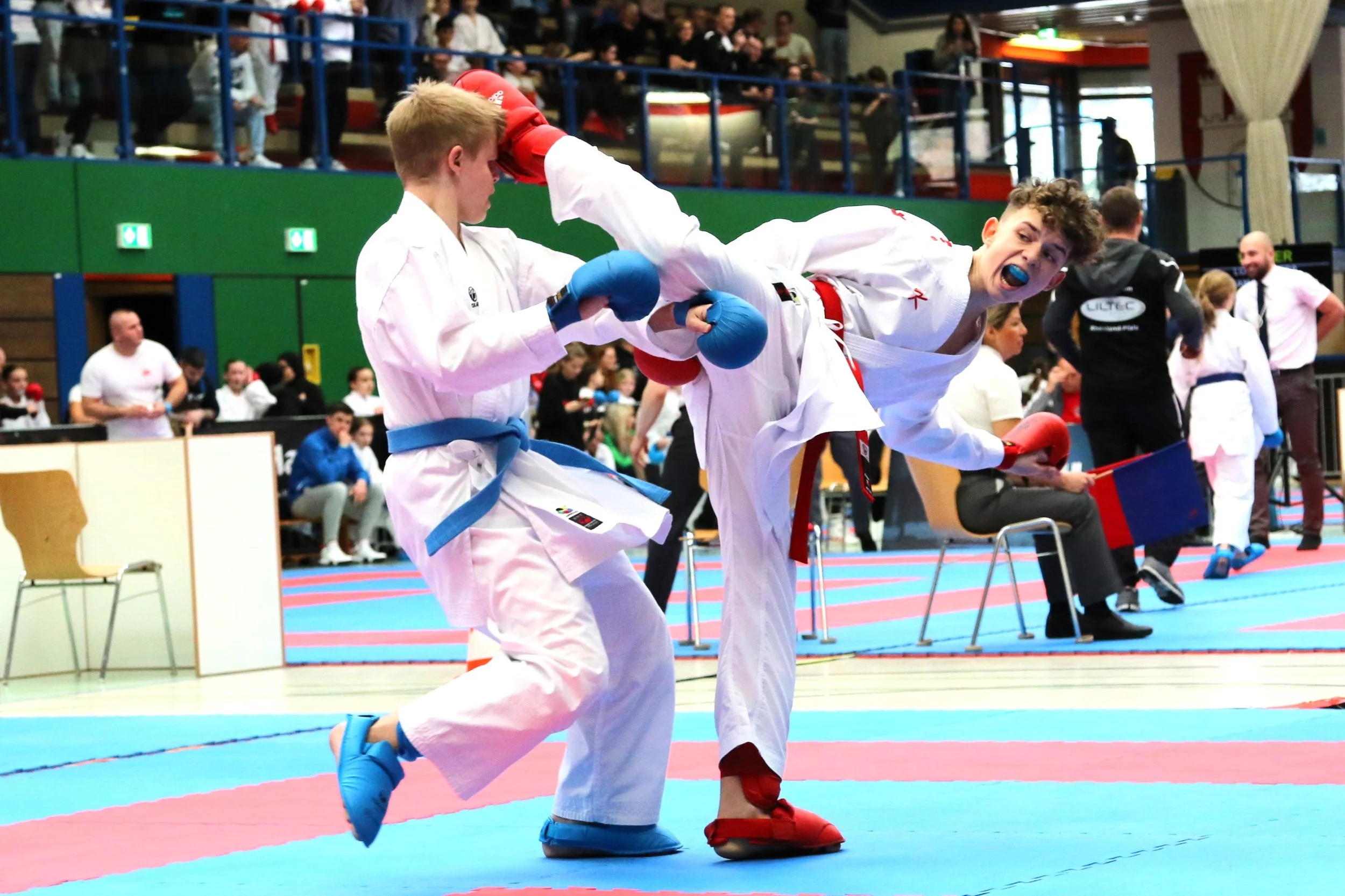 HAMBURG OPEN KARATE 2024