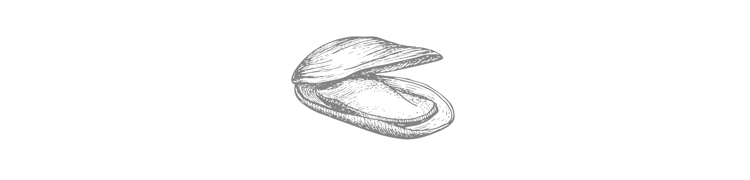 clam.png