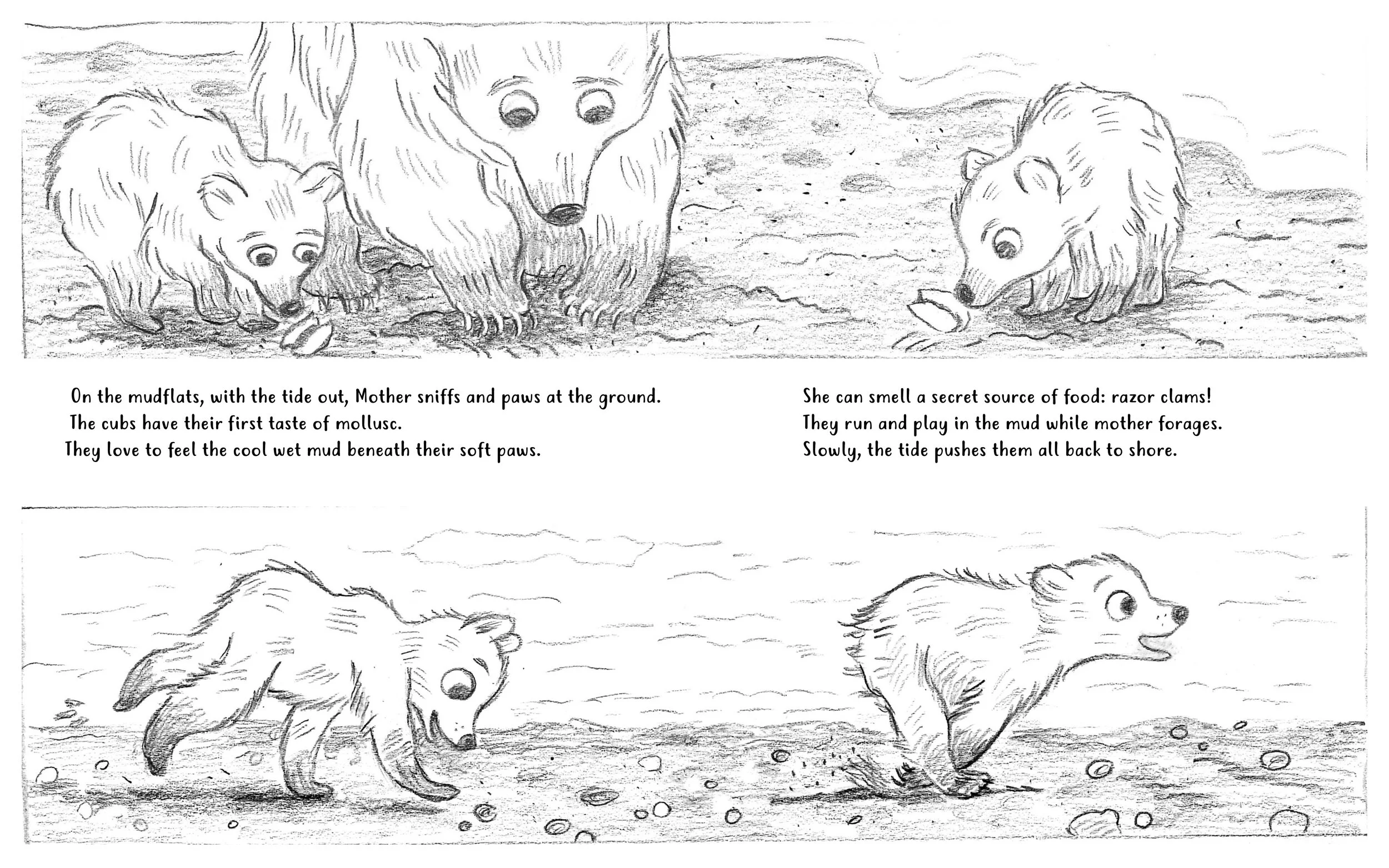 Born in Alaska Book Dummy 37.jpg