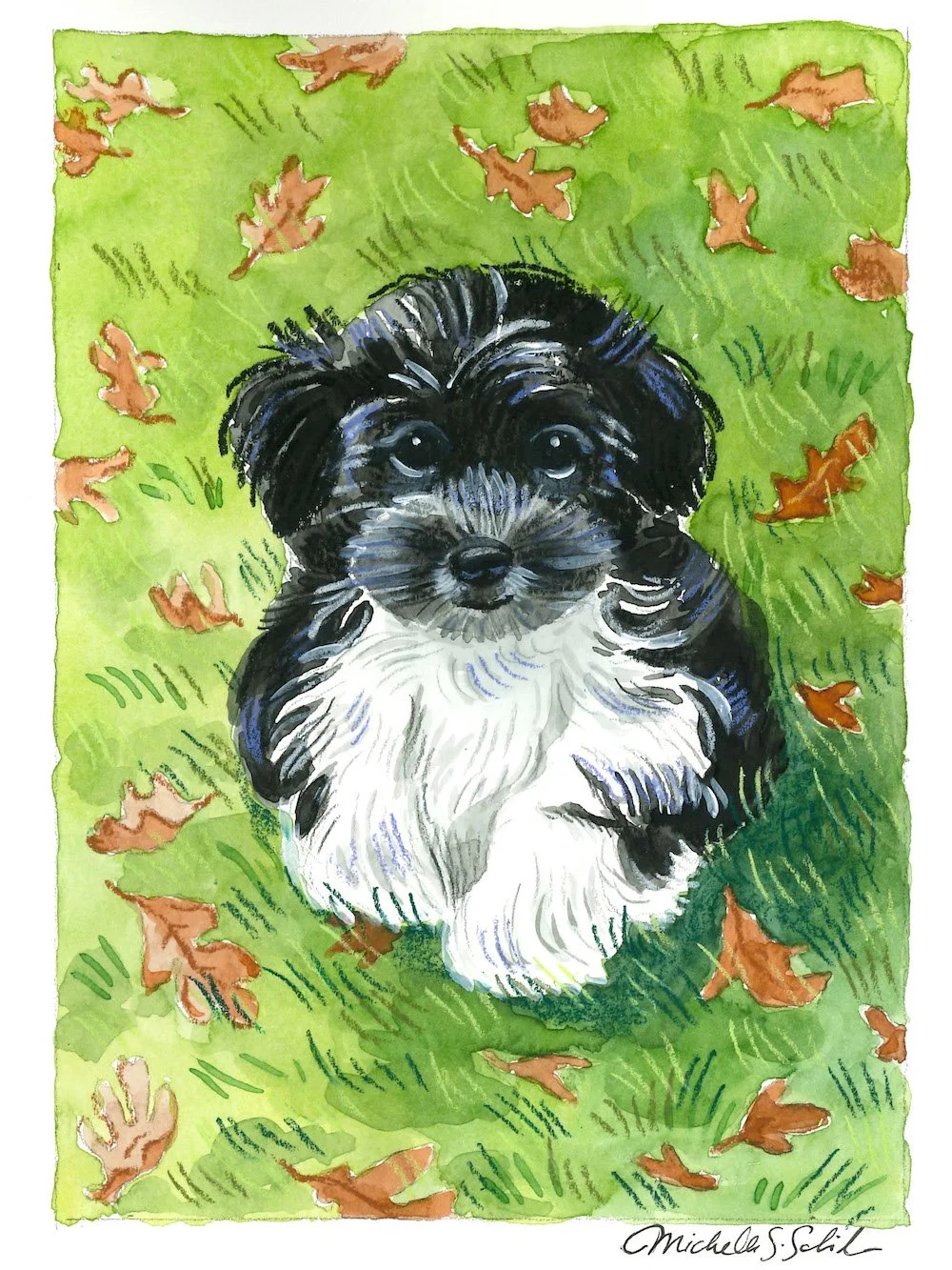 Ellen Pet Portrait .jpg