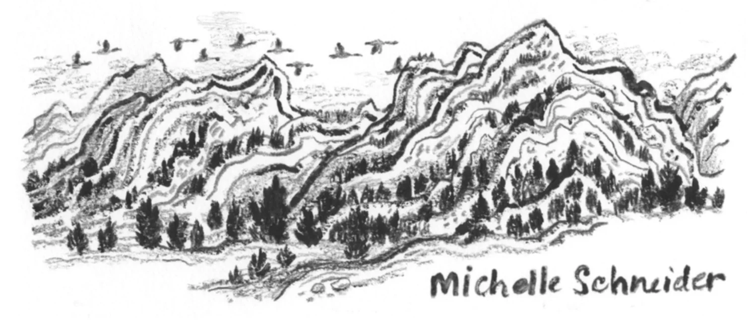 Michelle Schneider Art