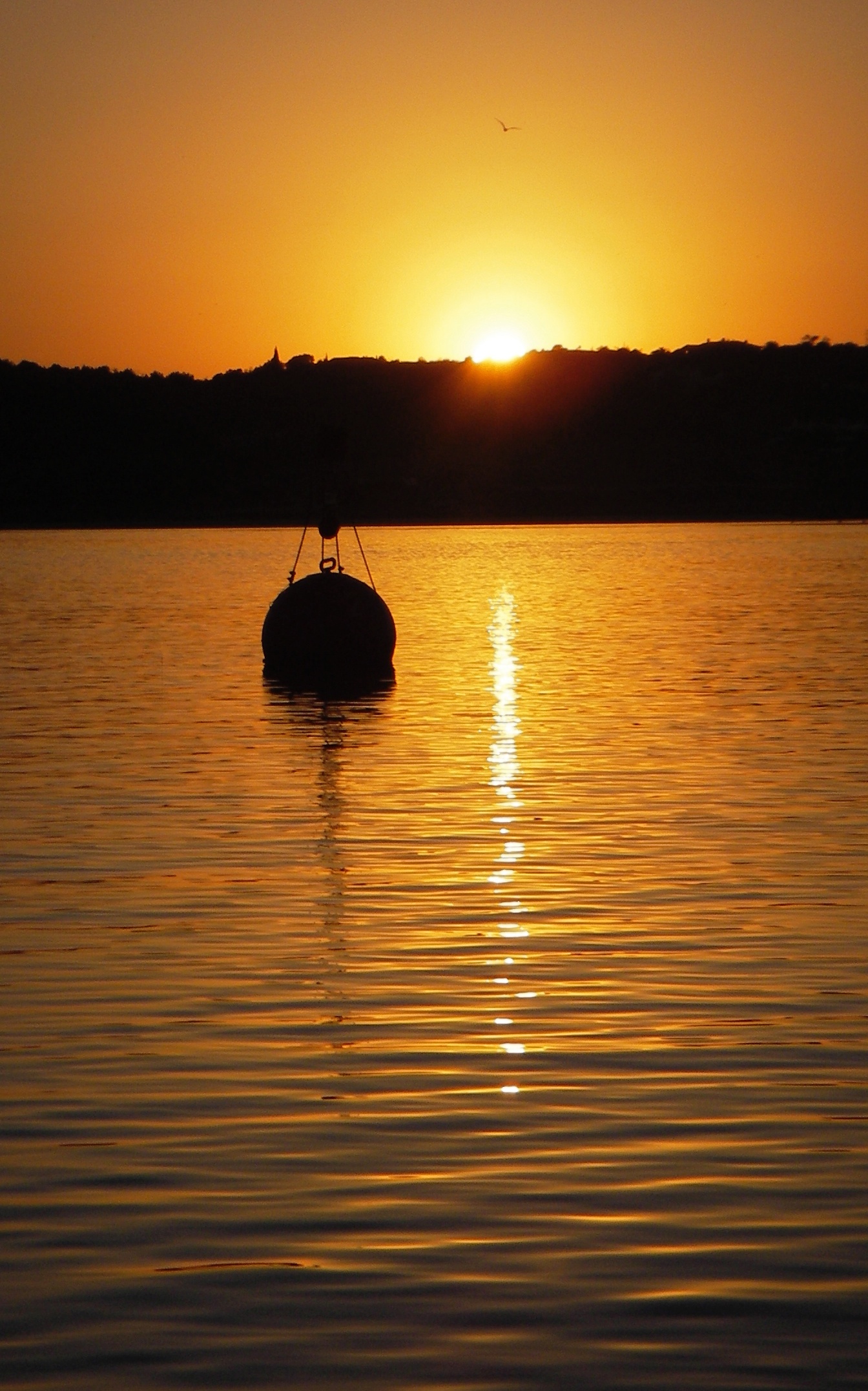 sunsetbuoy.jpg