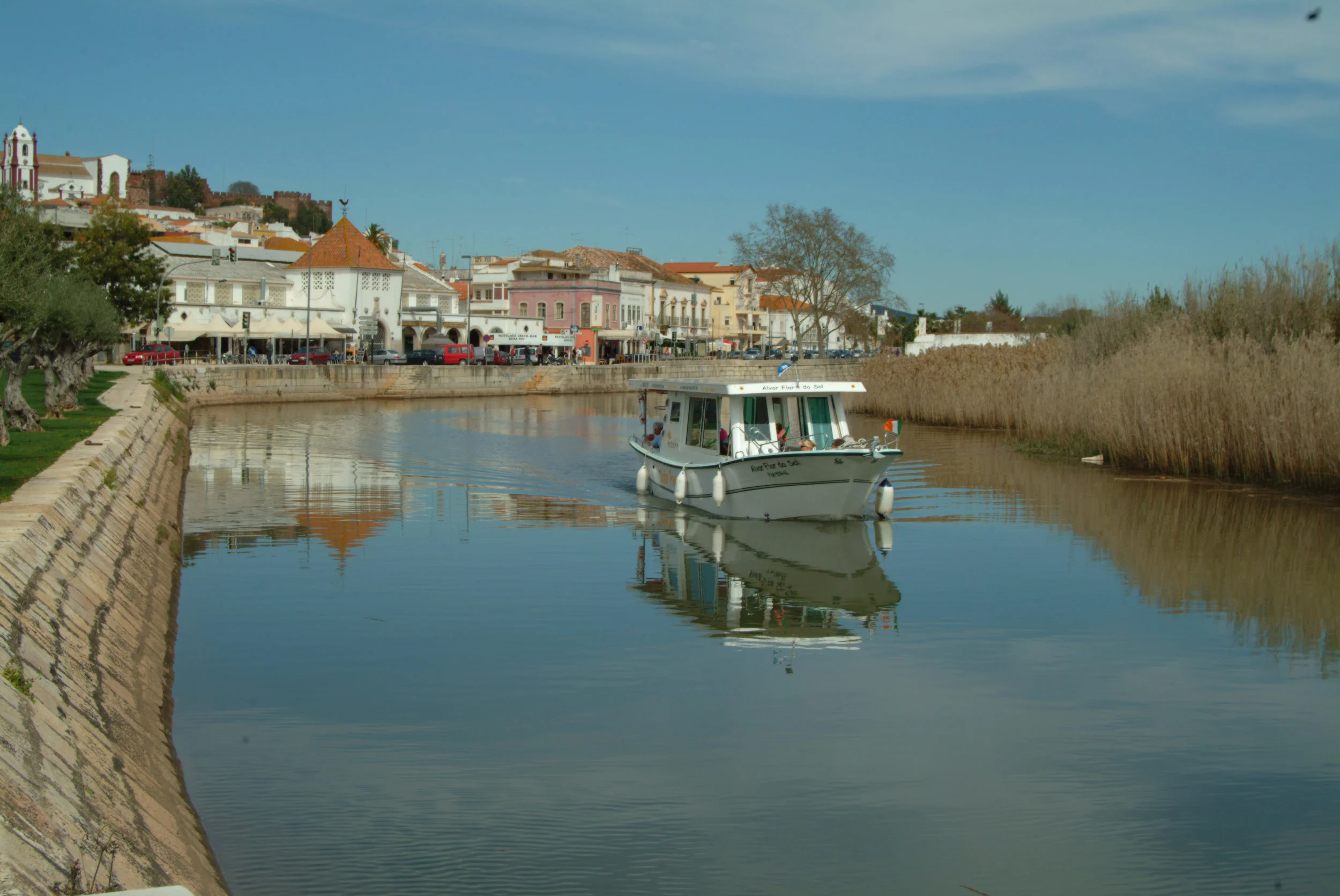 DSCF0038.jpg