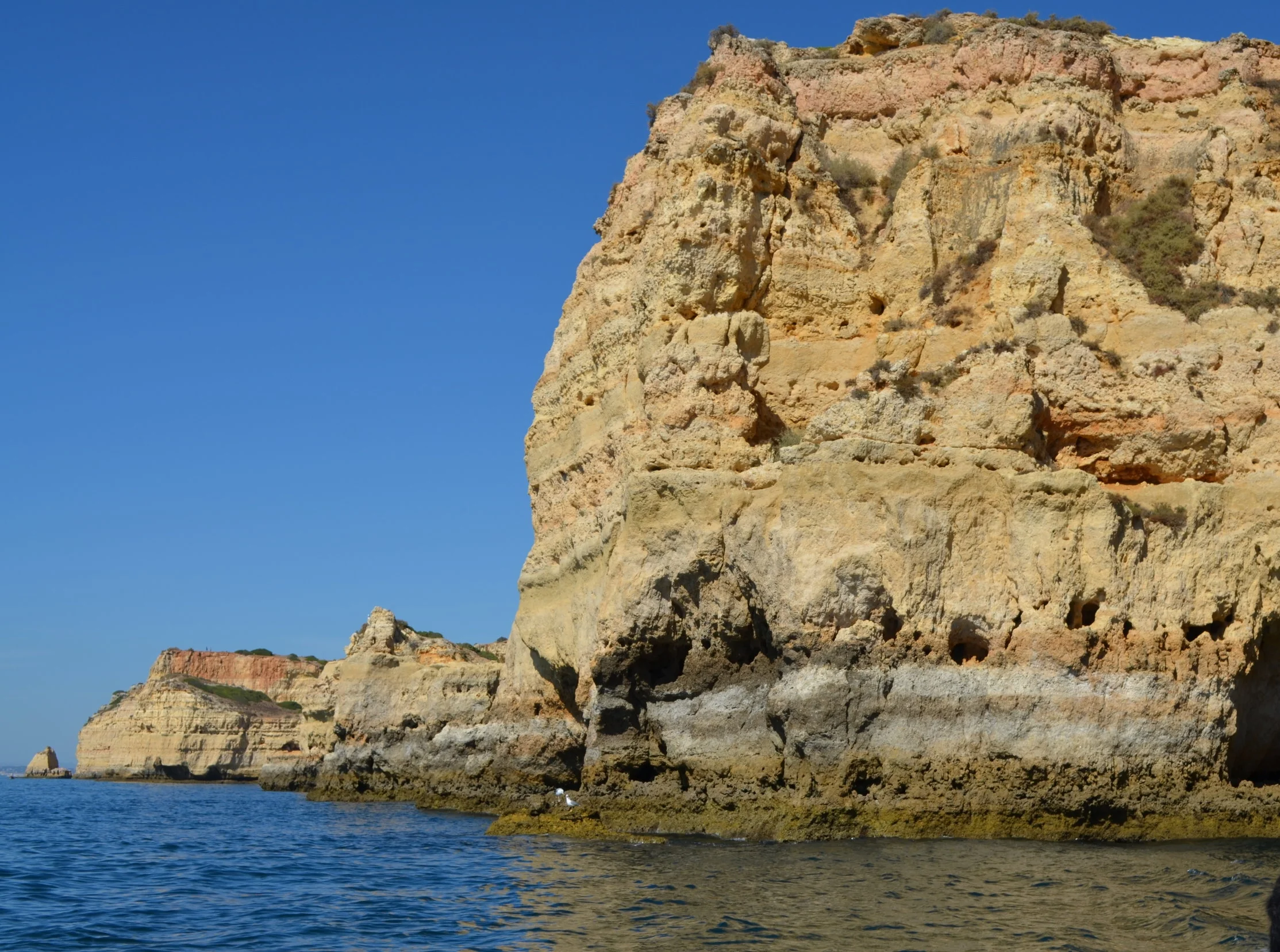 DSC_1987.JPG