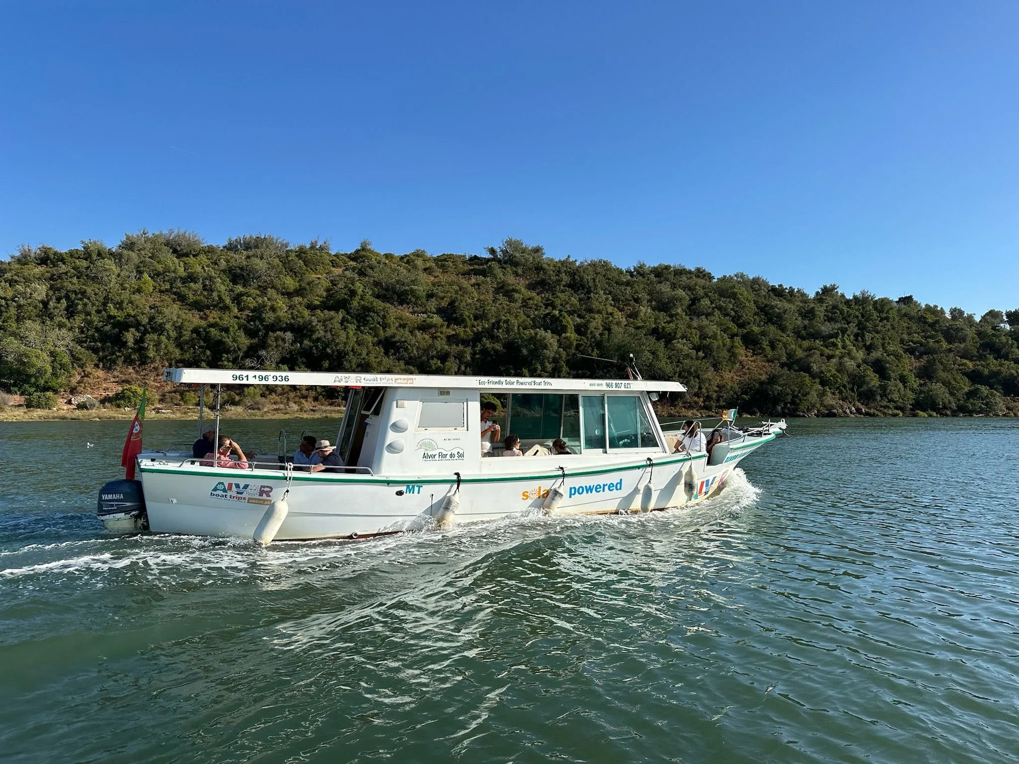 Alvor Flor do Sol 5.jpeg