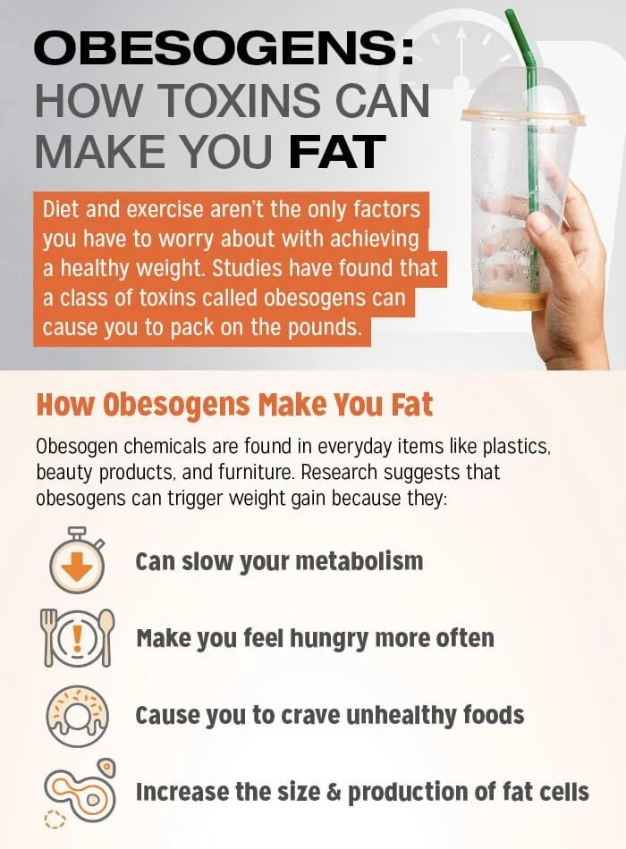 Toxins are a Hidden Factor in Slow Metabolism