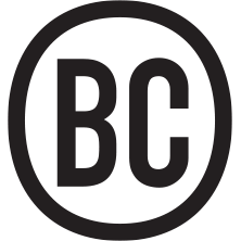 Blaise Campbell, Artist