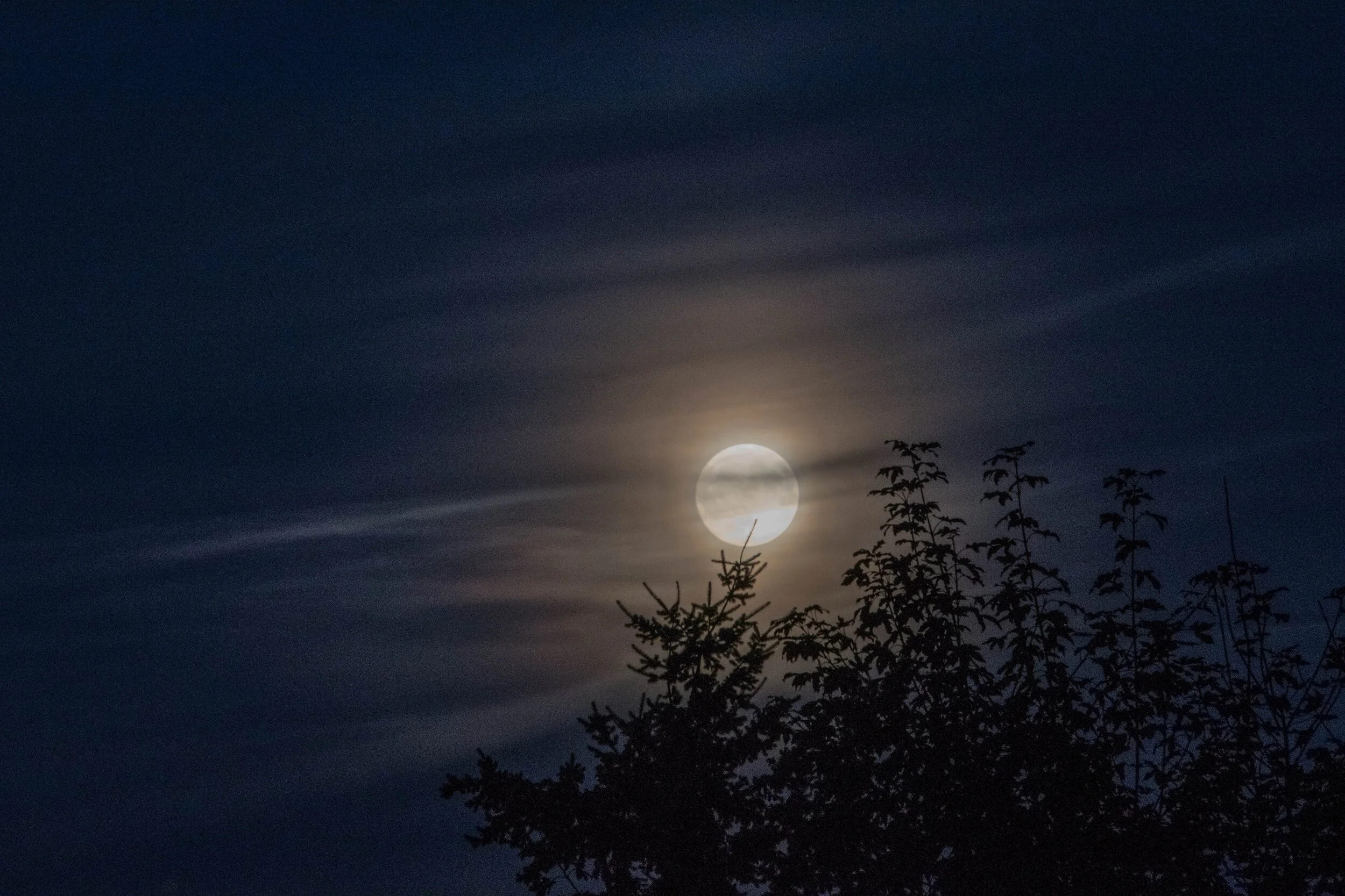 moon 2.jpg