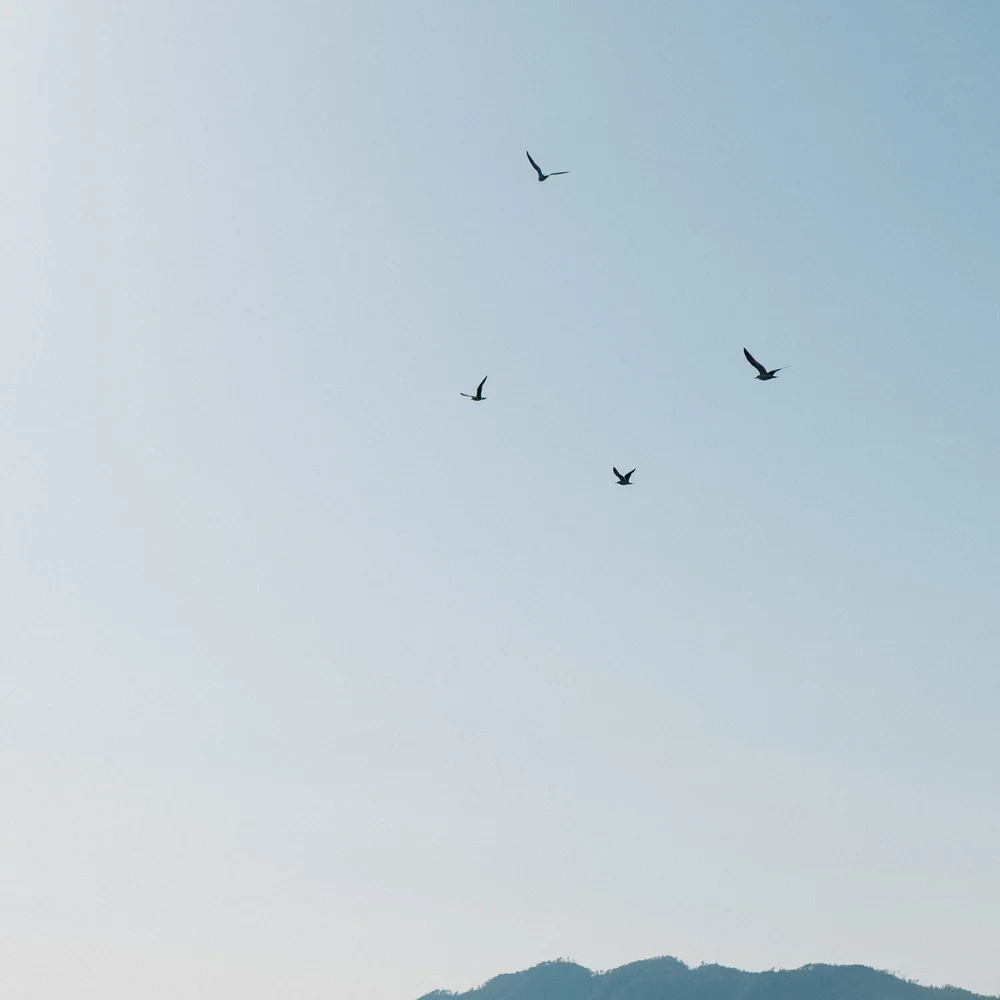 Charmaine Wu Photography Travel Photography Amanohashidate Kyoto Singapore