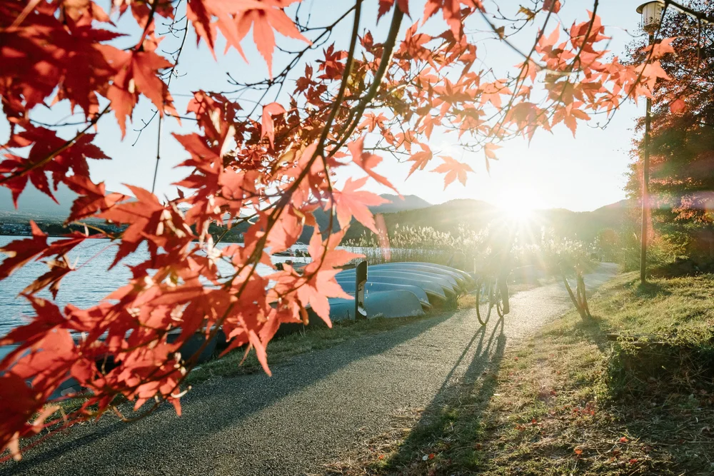 Charmaine Wu Photography Travel Photography Kawaguchiko Mt Fuji Japan Singapore