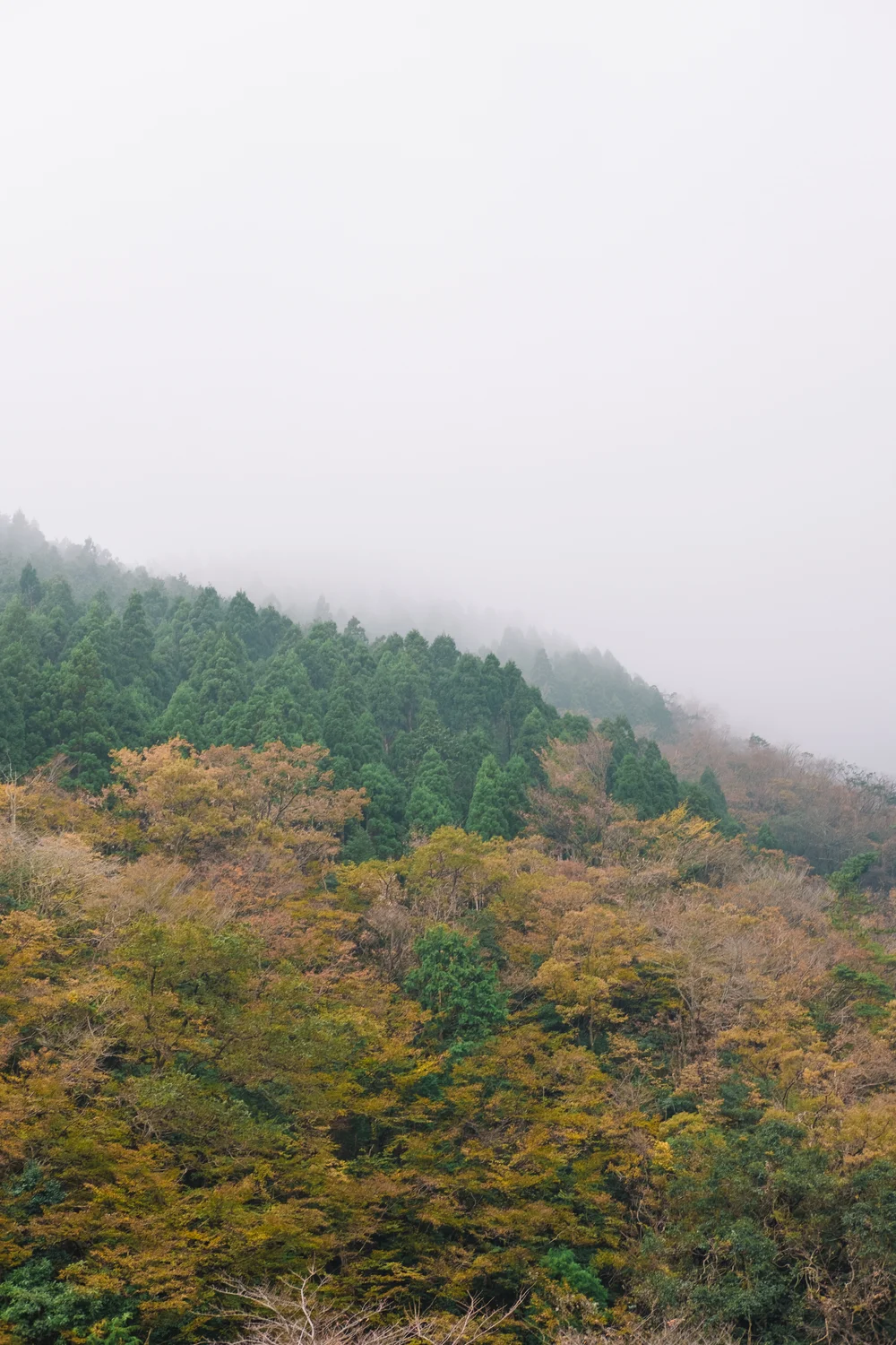 Charmaine Wu Photography Travel Photography Biwako Valley Shiga Japan Singapore