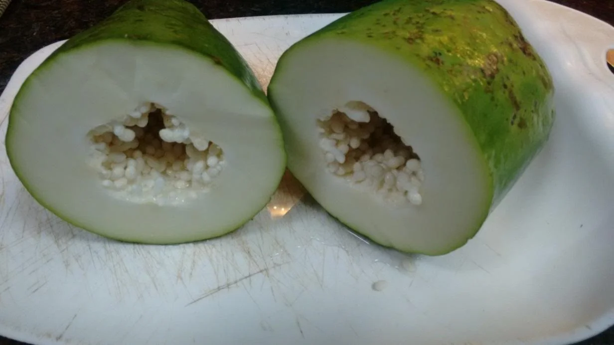 Mamão bem verde, que pode ser encontrado na Casa Horta!
