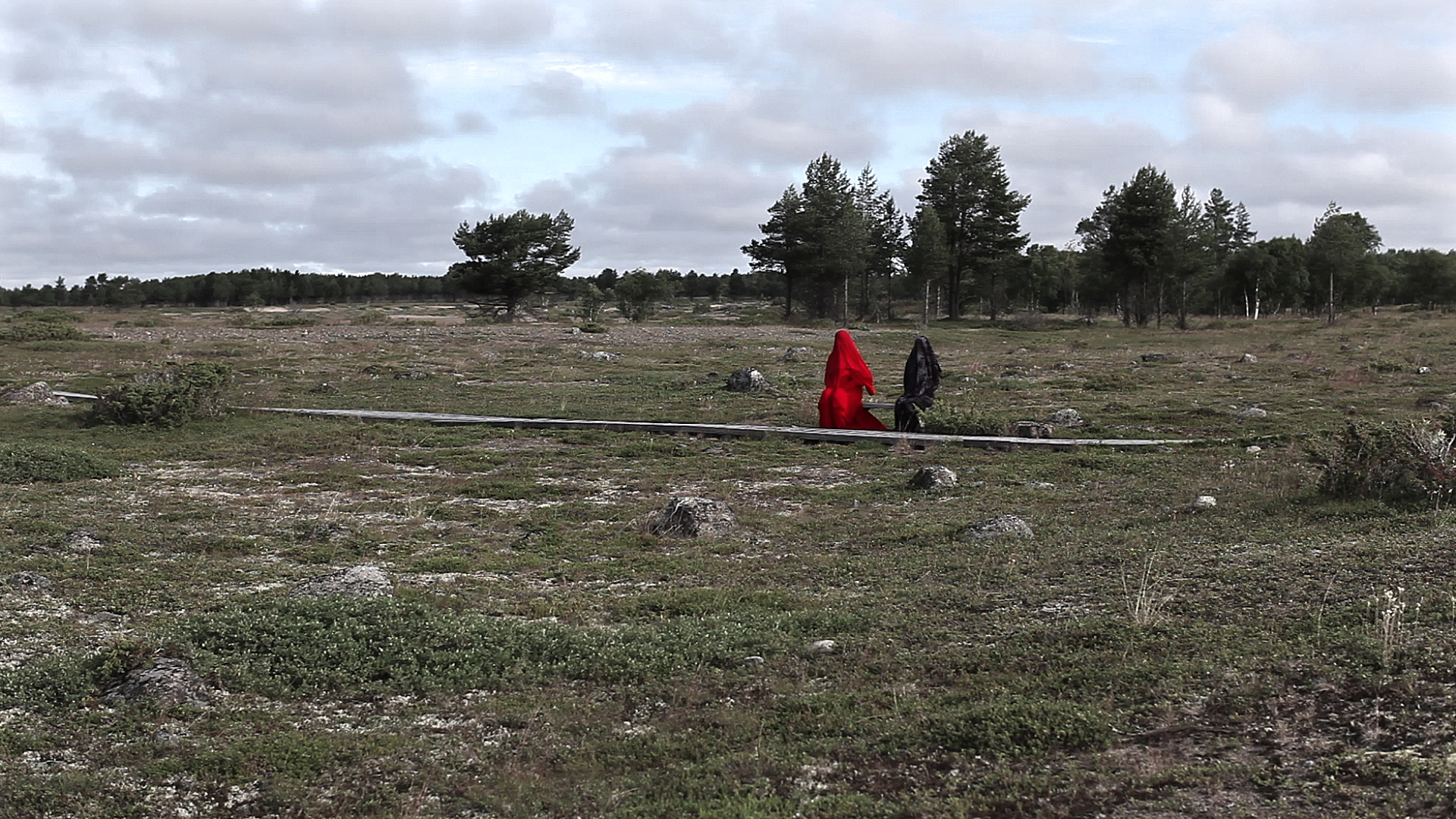 Roadmap aava_harmaa.jpeg