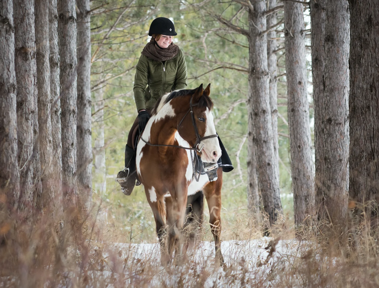 Sophia Johnson Photography - Minnesota Equestrian Photographer -
