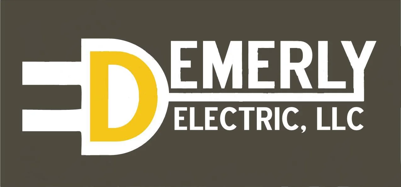 dem elec.jpg