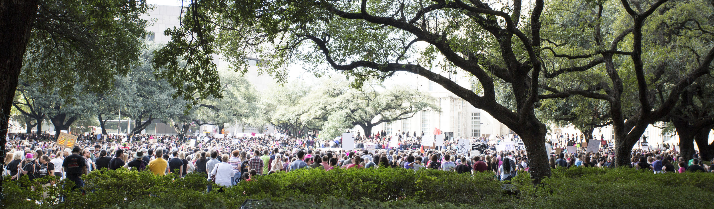 2017 January great horizontal crowd.jpg