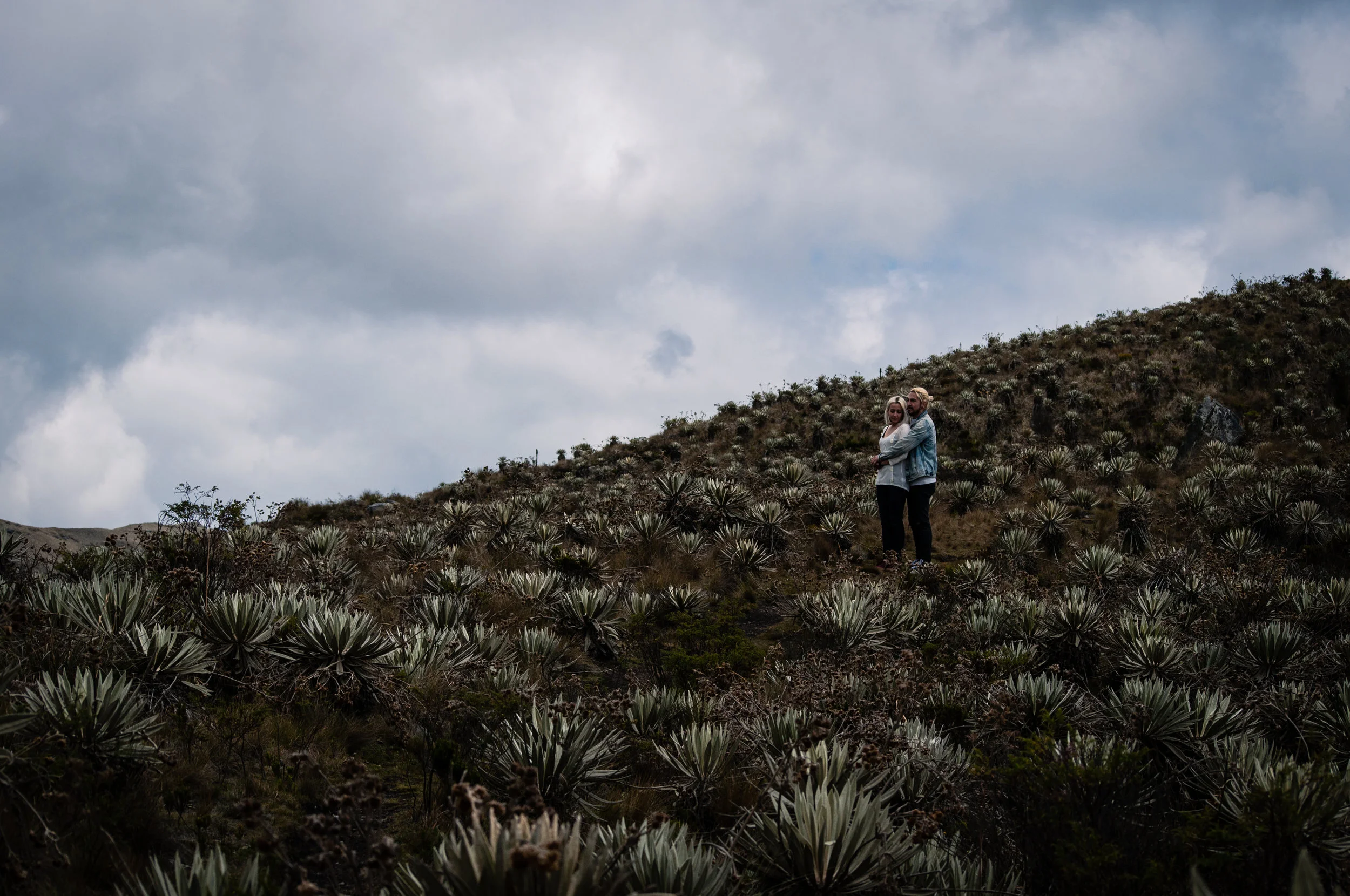 Ivan+Alisson-32.jpg