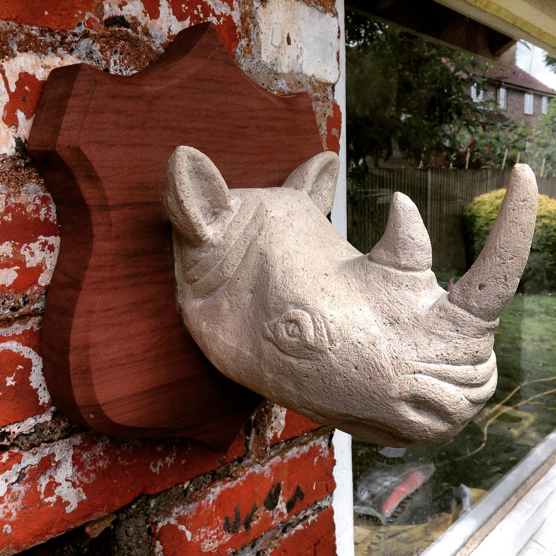 A little carving for the back garden. A Portland Rhino on a Cove stone shield.