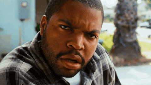 wtf gif.gif
