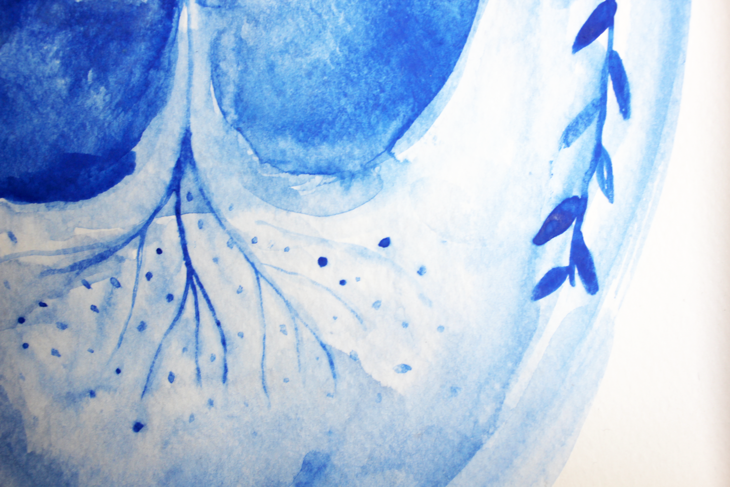 IMG_9861.png