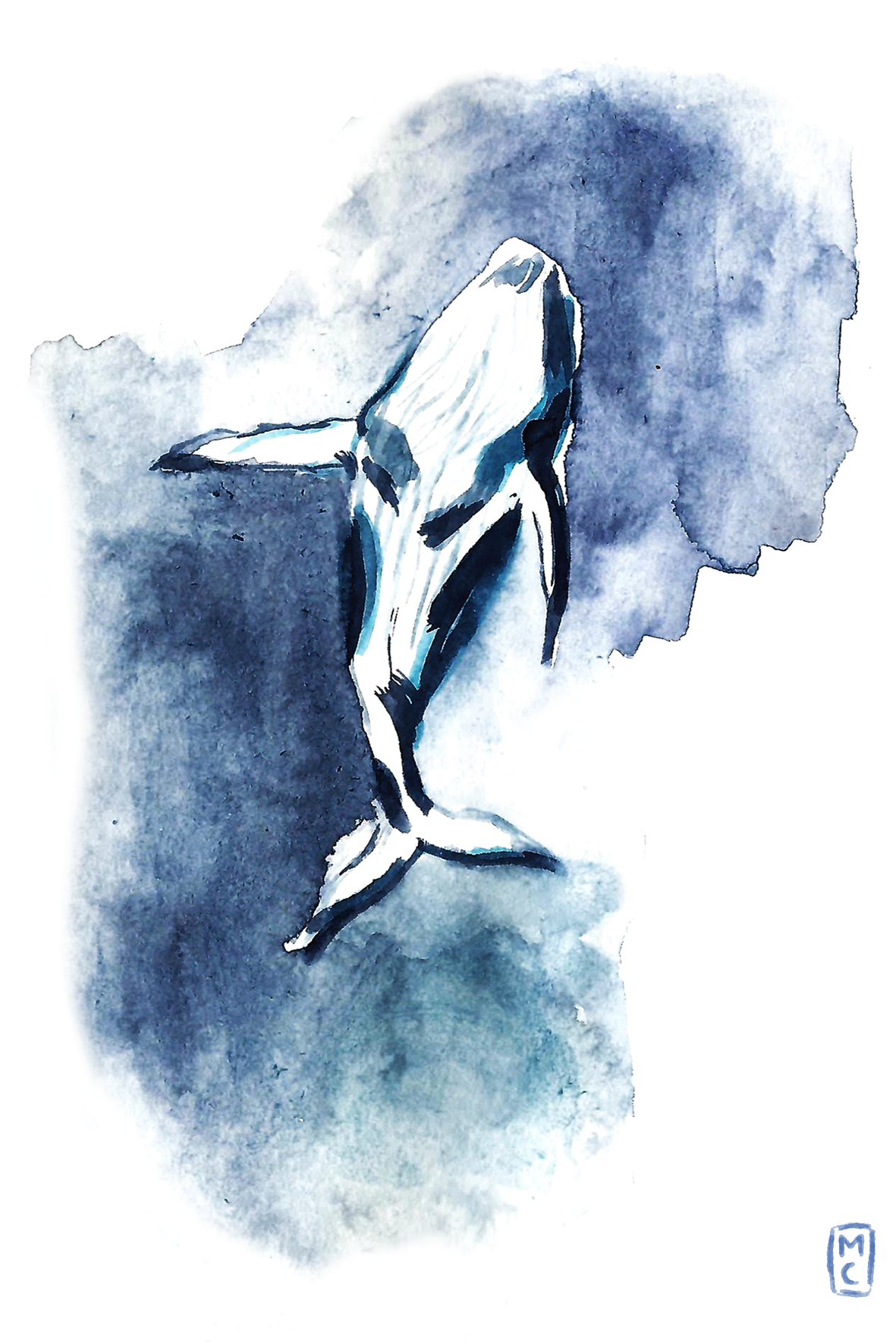 ballena.png