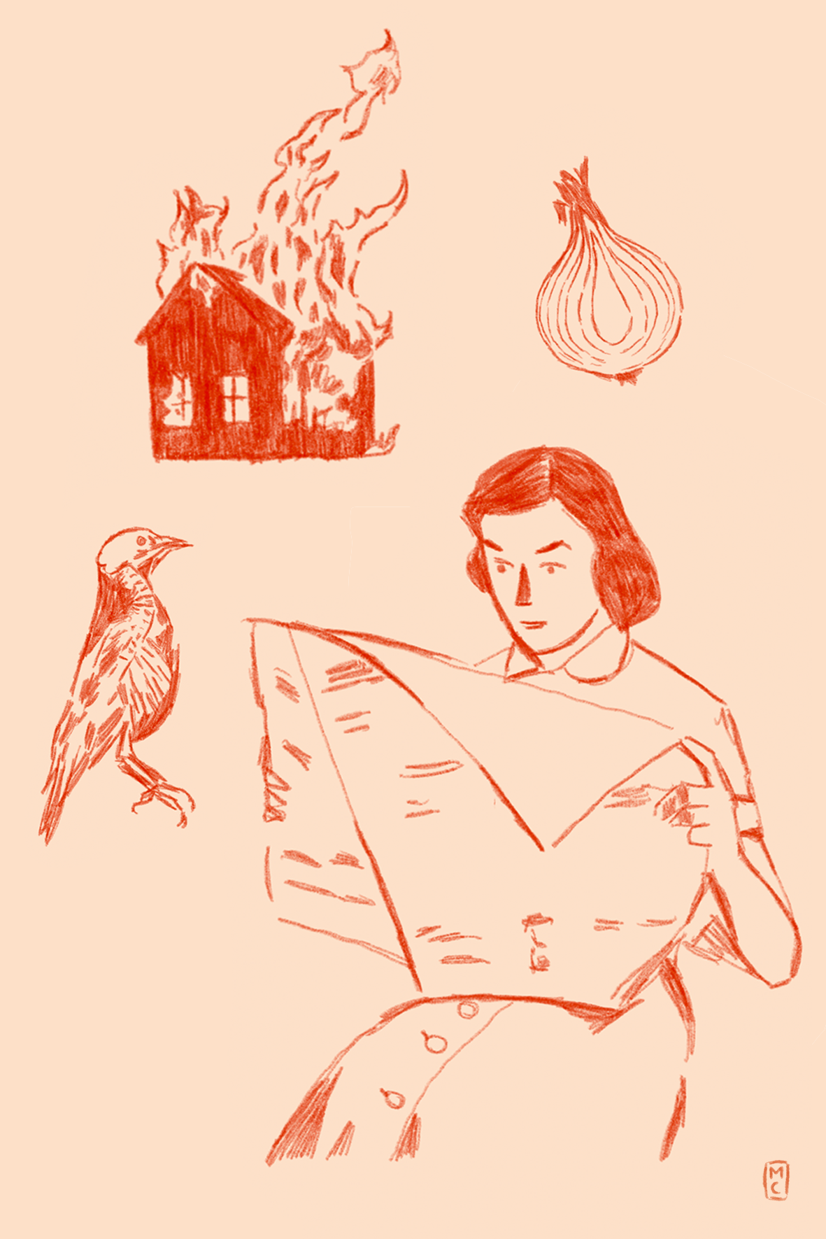 CASAEN FUEGO.png