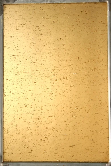 Yellow Seeded.jpg