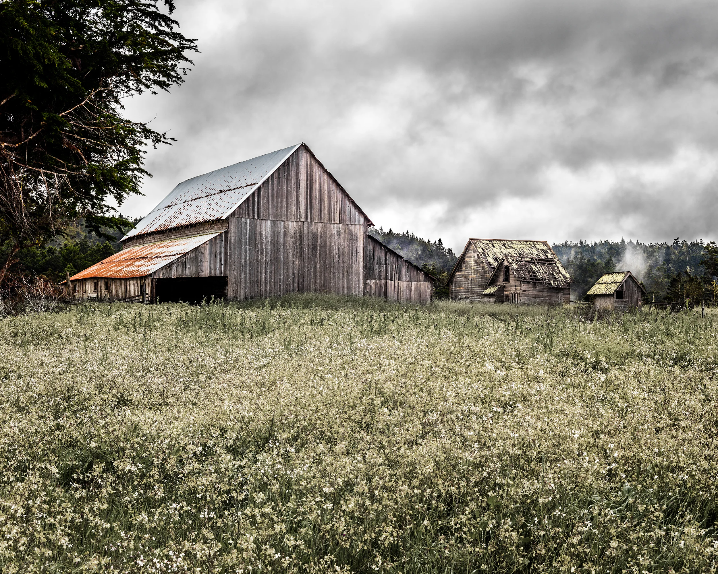 3294 Spring Ranch Barn 1 web.jpg