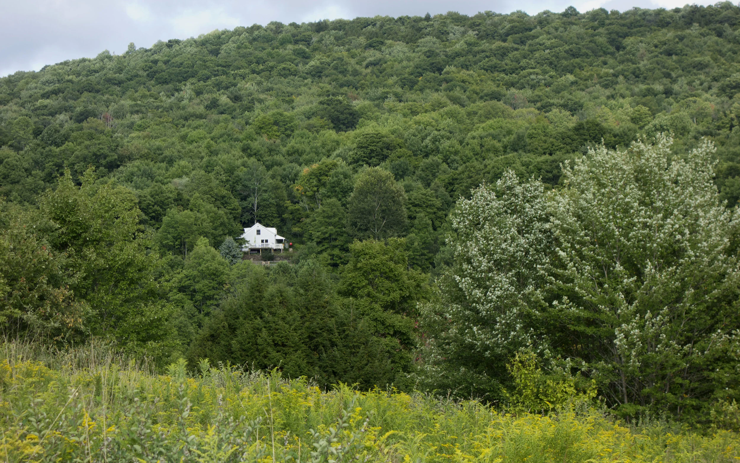 Fromfarfield_03387.jpg