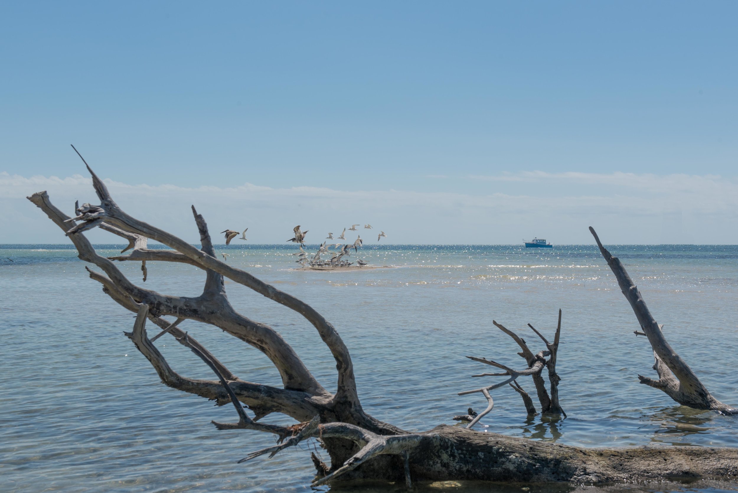A shallow water boat is a decided plus when cruising the Florida Keys and the Bahamas, so dinghies with big outboards are unnecessary.