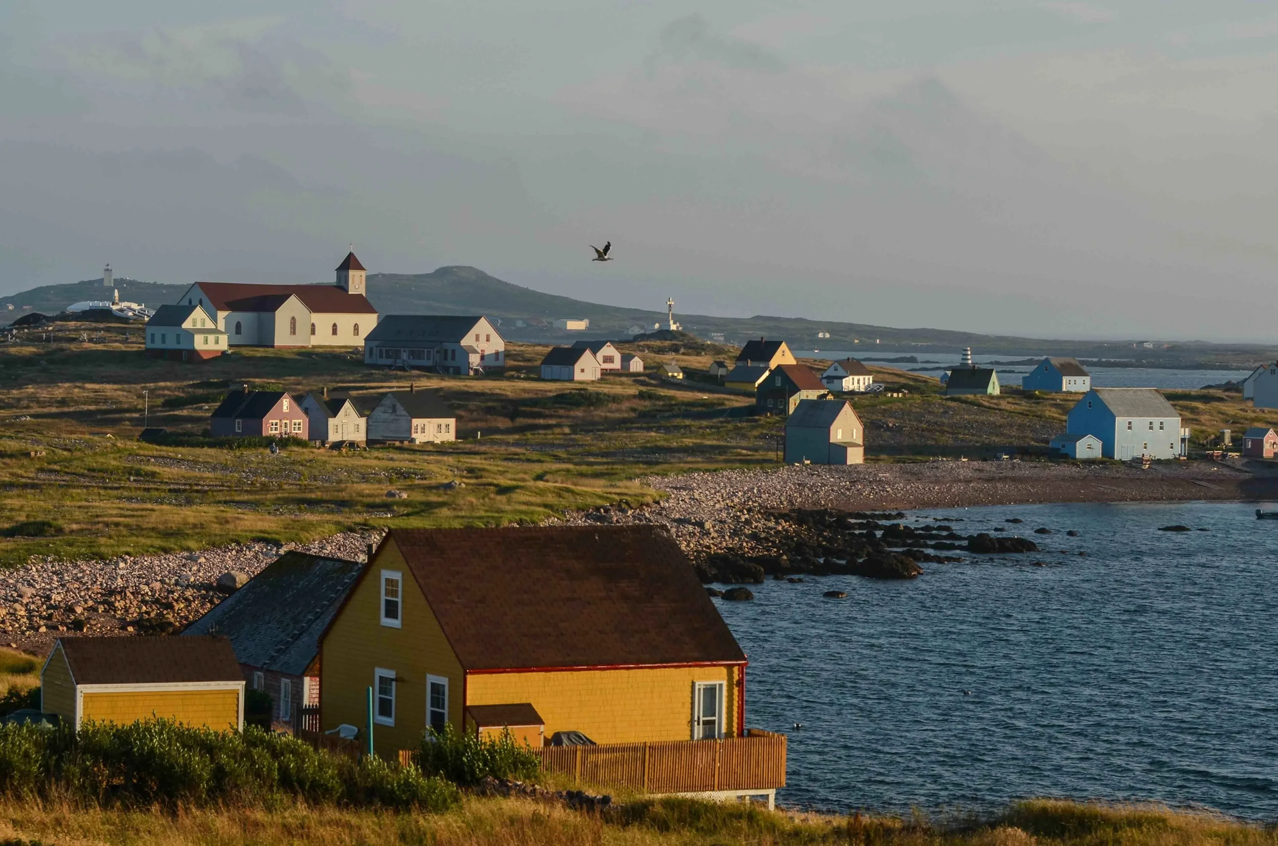 Island off St Pierre. The former fisherman’s homes have been restored by locals for weekend homes and French Mainlanders for vacation homes. It is difficult to see in the picture but next to each small home is a larger garden, a rock garden. There is so much wind on occasion that cod were left to dry lying on the rock gardens rather than the traditional drying racks. Shortly after this picture was taken the fog rolled in.