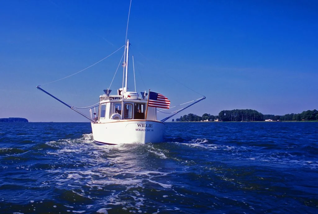 Willie on to Bermuda.jpg
